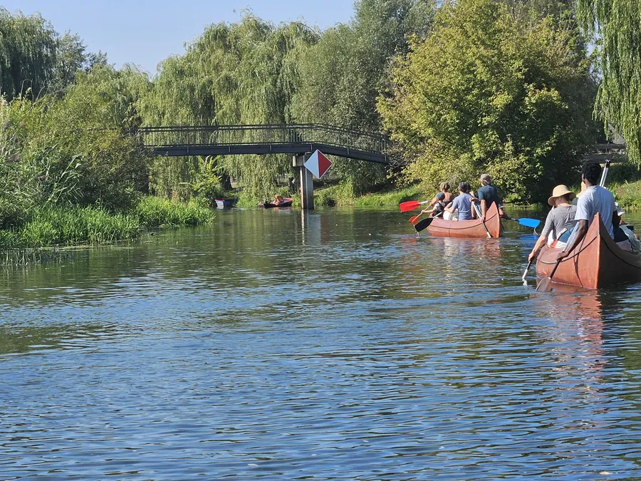 Kanus gleiten unter einer Holzbrücke durch einen schilfgesäumten Flussarm
