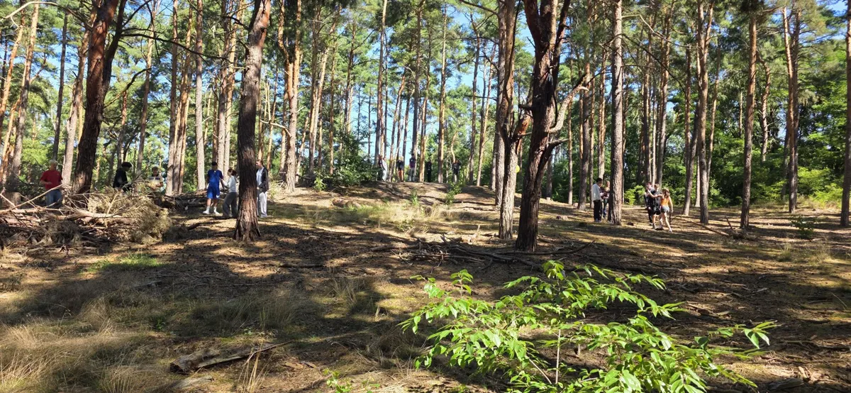 Geländespiel im Wald